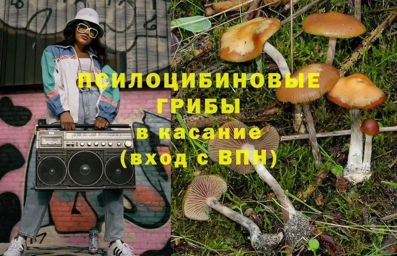 кракен ссылки  цена   Красный Холм  Псилоцибиновые грибы Cubensis 